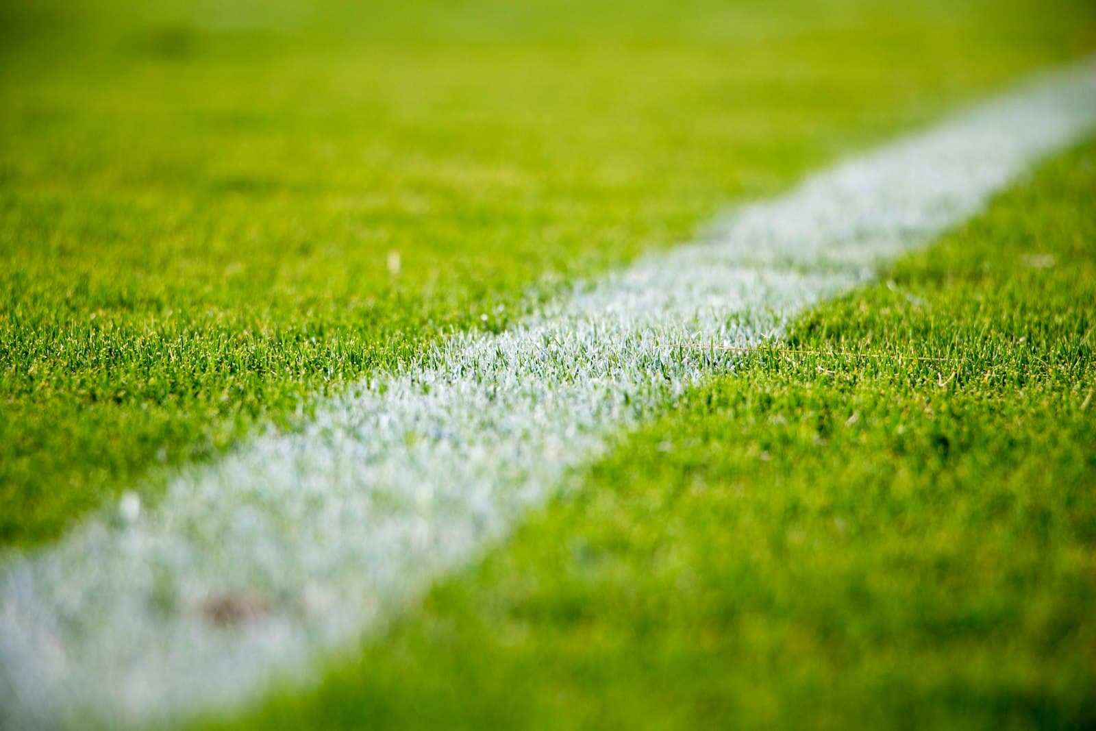 Lapaz Astroturf Pitch